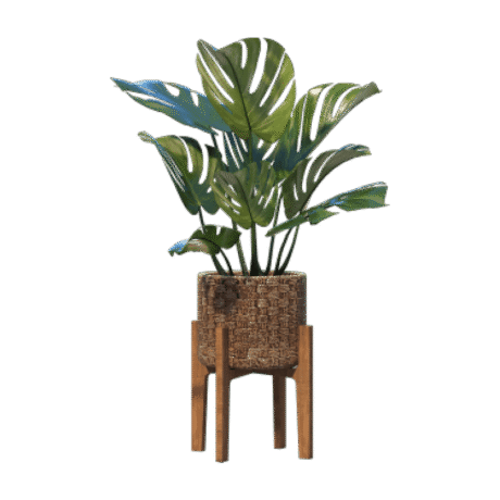 shop-bg-16